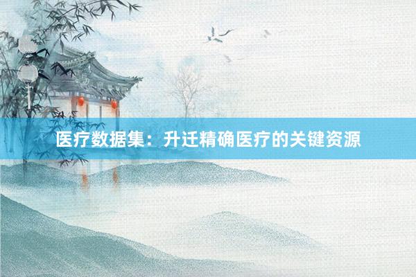 医疗数据集:升迁精确医疗的关键资源